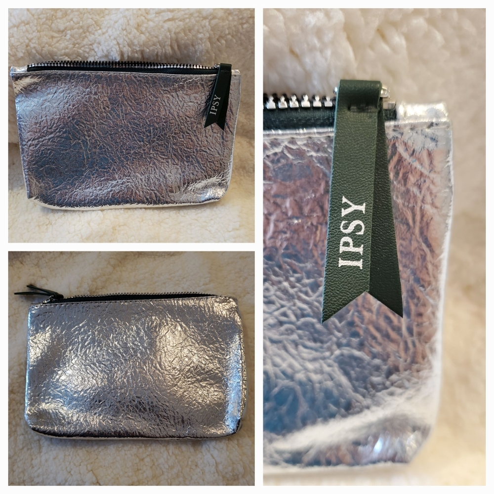 NEW Ipsy Silver December 2019 Metallic Glambag Makeup Bag NWOT